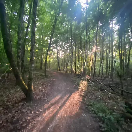 Prázdninový dům Un Der Attert - Celine's Loft - Luxembourg *