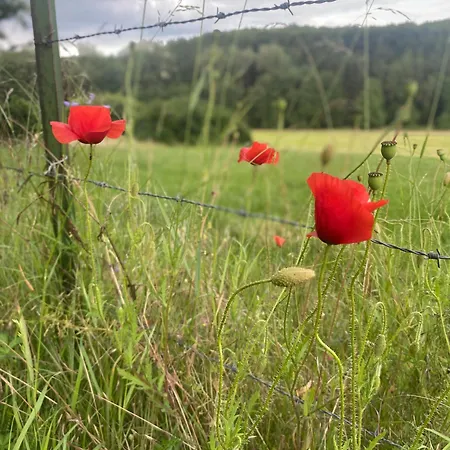 Un Der Attert - Celine's Loft - Luxembourg Prázdninový dům Boevange-sur-Attert