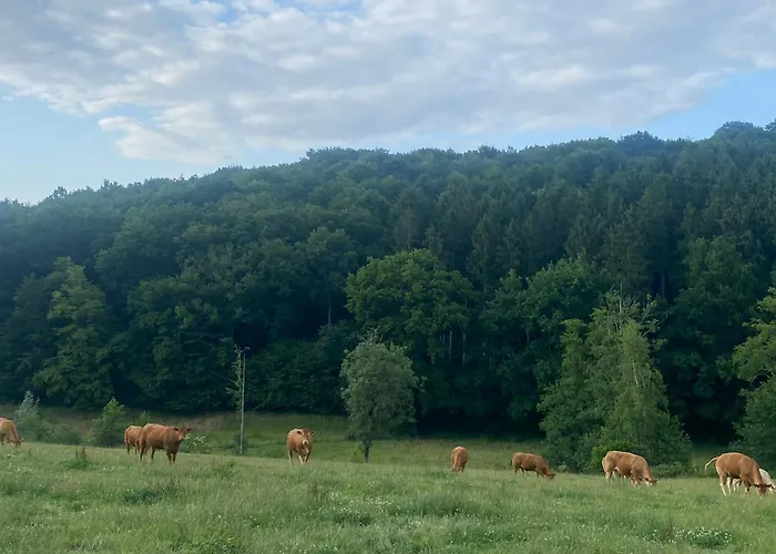 Un Der Attert - Celine's Loft - Luxembourg Boevange-sur-Attert