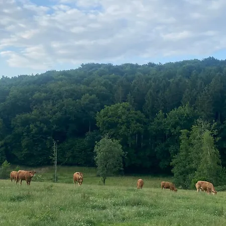 Un Der Attert - Celine's Loft - Luxembourg Boevange-sur-Attert