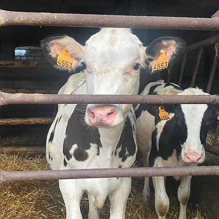 Un Der Attert - Celine's Loft - Luxembourg * Boevange-sur-Attert