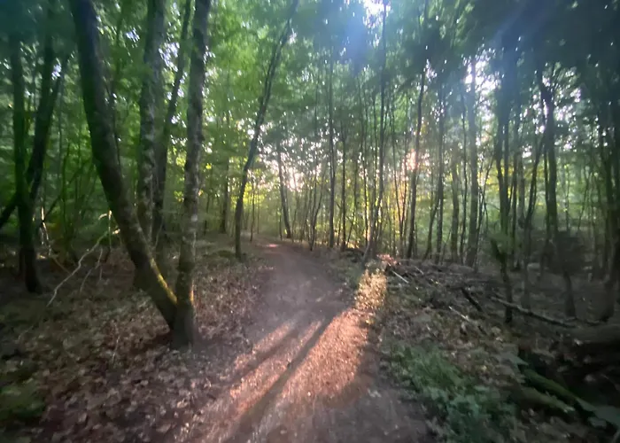 بيت للعطل Un Der Attert - Celine's Loft - Luxembourg *