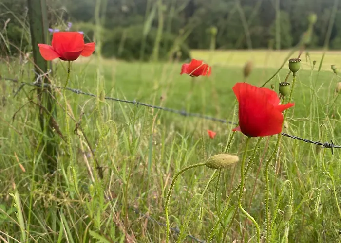 Un Der Attert - Celine's Loft - Luxembourg بيت للعطل Boevange-sur-Attert