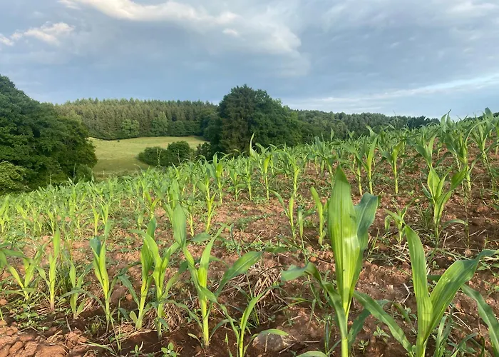 بيت للعطل Un Der Attert - Celine's Loft - Luxembourg