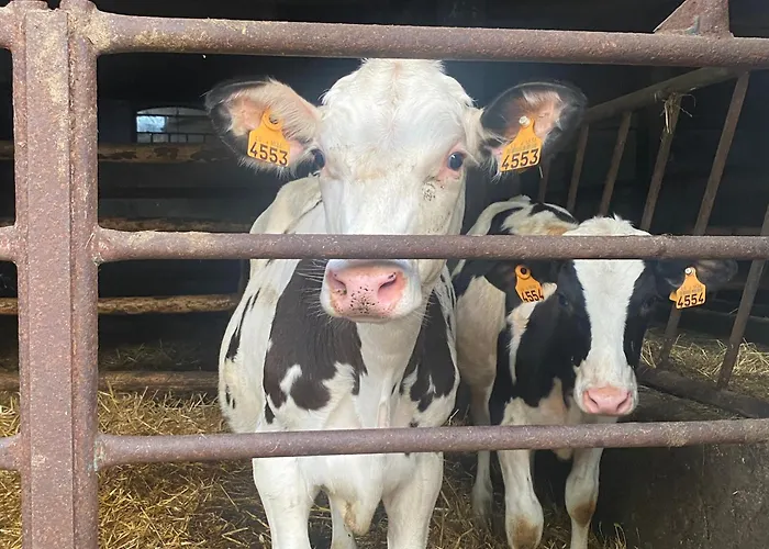 Un Der Attert - Celine's Loft - Luxembourg * Boevange-sur-Attert